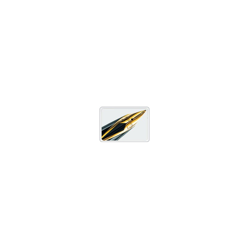 Bloc plume Or pour Legacy® (Fin) Bloc plume Or pour Legacy® (Fin)