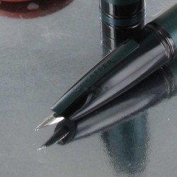 Stylo Plume Fine Sheaffer® "ICON" Vert Mat